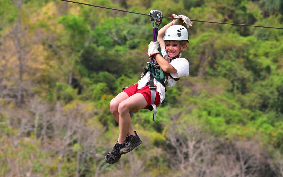 Zipline, Hanging Bridges and Tarzan Swing