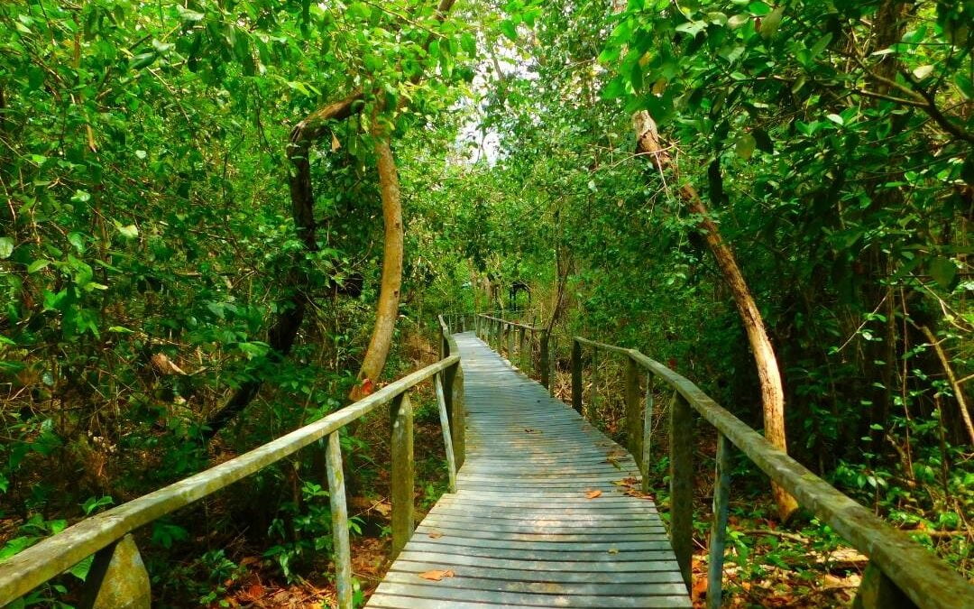 Puerto Viejo Limon – Cahuita