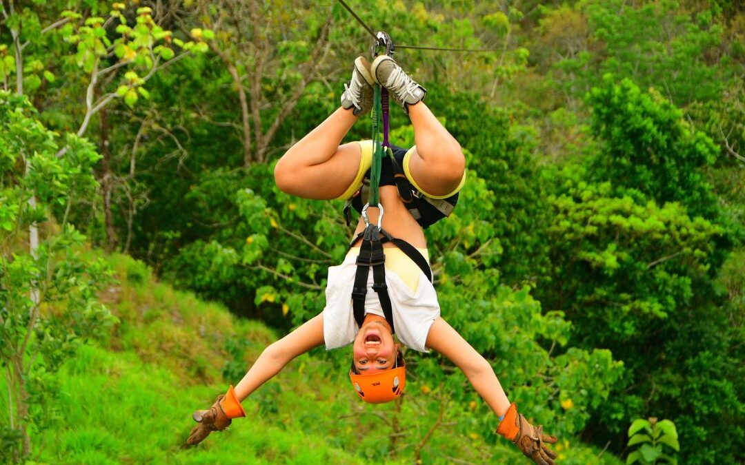 Canopy and Hanging Bridges