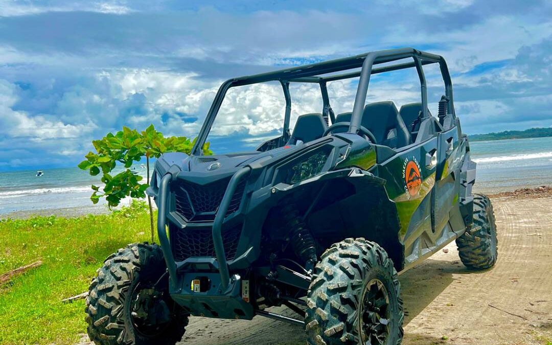 Amazing Sunset and Jungle Adventure