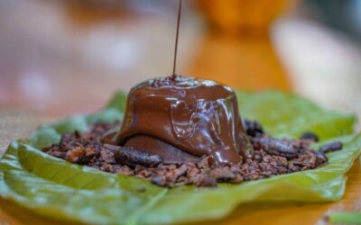 Chocolate Tour and La Fortuna Waterfall