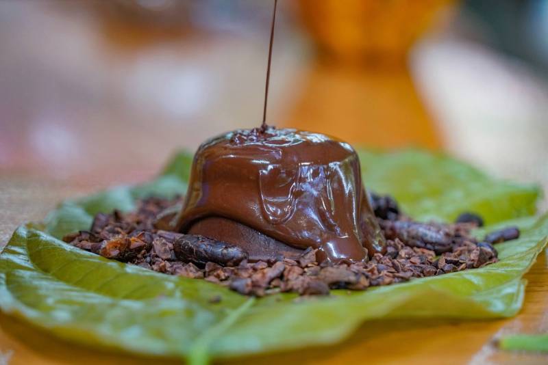 Chocolate Tour and La Fortuna Waterfall