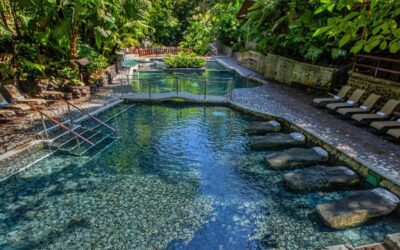 Volcano Hiking with Ecotermales