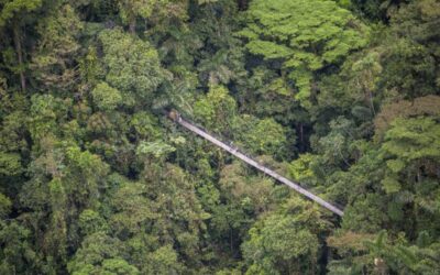 Hanging Bridges and La Fortuna Waterfall