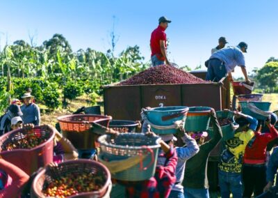 Coffee tour in San Jose TOP Costa Rica Experience