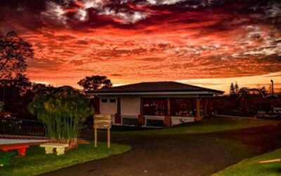 Doka Coffee Tour from San José