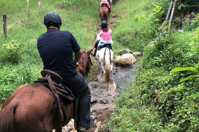 Horseback Riding in Monteverde