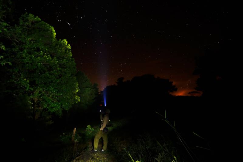 Zipline and Night Walk