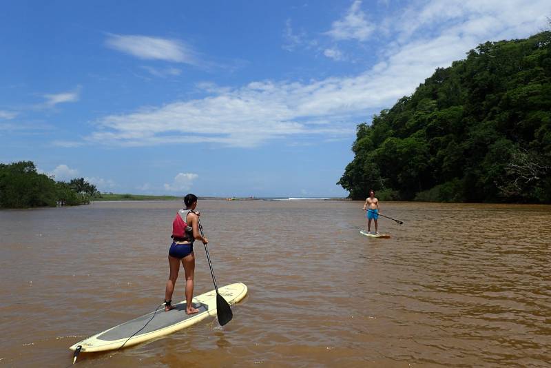 Mangrove Stand-Up Paddle