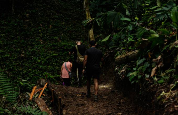 Night Walk in the Caribbean
