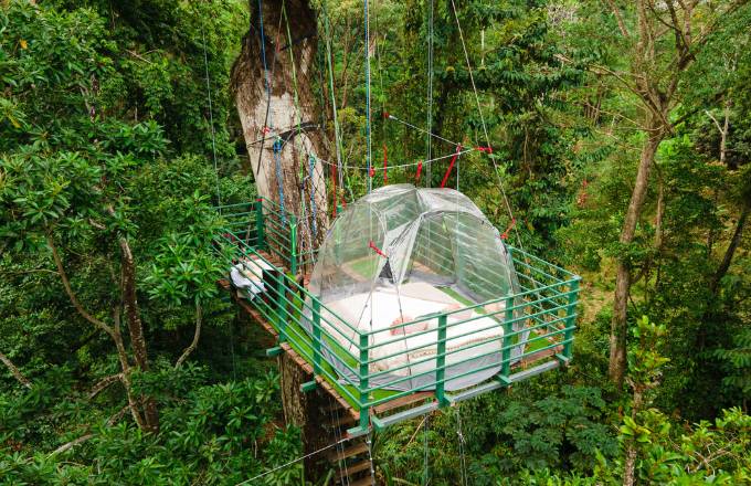 Stay at the Ceibo Tree