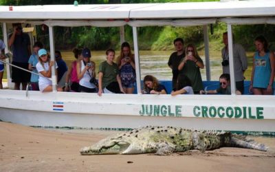 ATV – Aquatic Adventure and Crocodile Tour