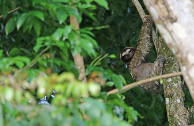 Exploring the Wonders of Puerto Viejo of Talamanca