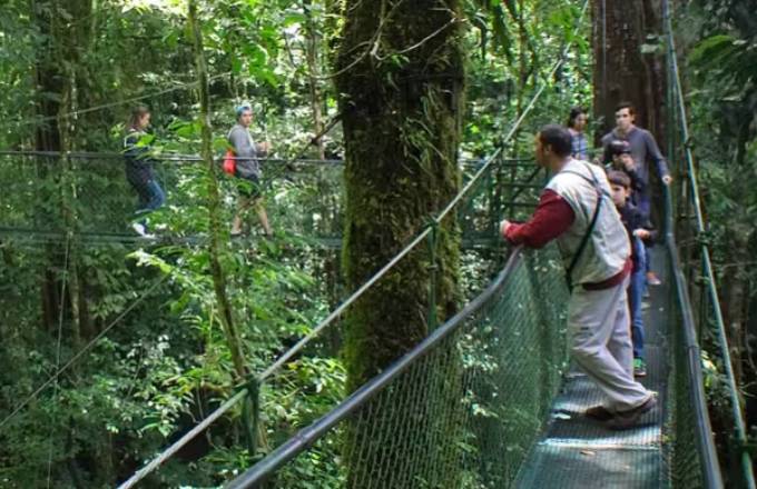Hanging Bridges in Monteverde