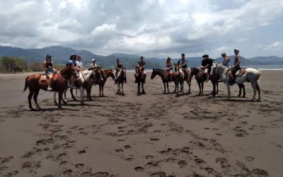 Aquatic Adventure – Horseback Riding and Crocodile Tour