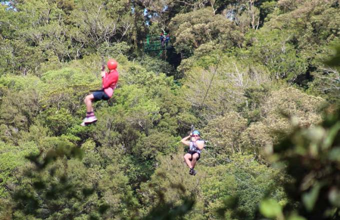 Canopy in Monteverde Cloud Forest