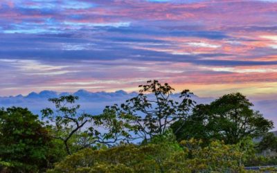 Explore an Enchanting Experience in Monteverde