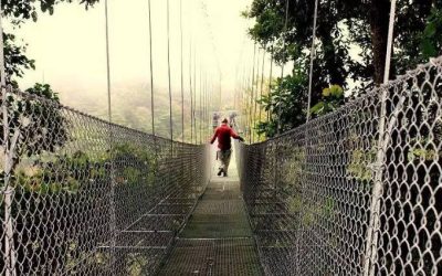 Discover the Natural Wonders of Monteverde