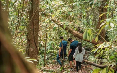 Jungle Trekking and Culture Experience