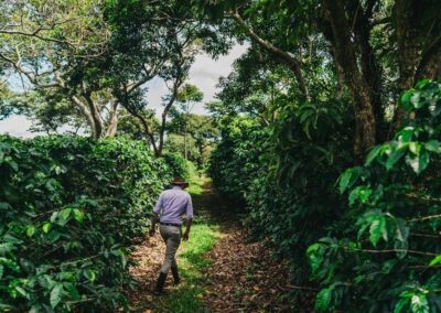 Doka Estate Coffee Tour property in Costa Rica